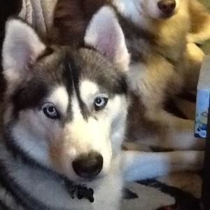 Meet your Posher, Christi